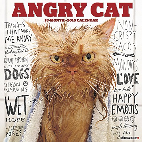 2016 Angry Cat Wall Calendar
