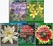 Gorgeous Flower Theme Pack
