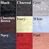 Chemisettes by Anne Modesty Panel with Lace Overlay. Choose from 9 Clrs. Szs Sm-XXL