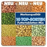 Produkt-Information 