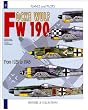 Focke Wulf FW190 (Planes & Pilots)