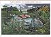 2006 Southern Florida Wetland #4099 Nature of America #8 S/S of 10 x 39 cents US United States Postage Stamps