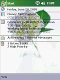 Light-Colored Flowers (KM Themes)