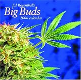 cover of Ed Rosenthal's Big Buds 2006 Marijuana Calendar