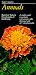 Book Taylor's Guide to Annuals (Taylor's Gardening Guides)
