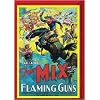 FLAMING GUNS