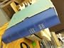 The Holy Bible Revised Standard Version