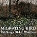 Migrating Bird - The Songs Of Lal Waterson
