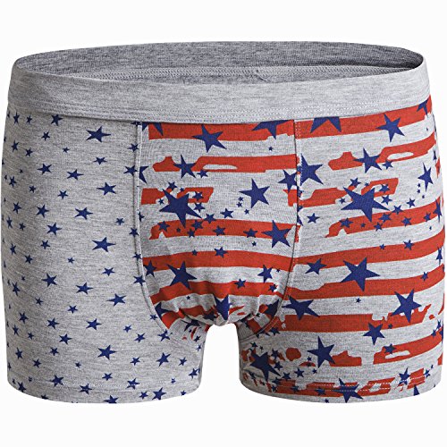 JINSHI Men's Bamboo Fibre Boxer Briefs Light Weight Trunks