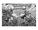 car Scenic Photographic Poster Print by John J Robertson, 20x16