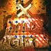 X-wild-Wild Gift [Vinyl]