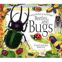 Beetles and Bugs (Maurice Pledger Nature Trail Books)