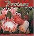 Proteas in Hawaii