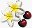 cherry jasmine tea