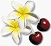 cherry jasmine tea