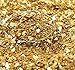 Meyer Imports Crushed Glass Glitter for Arts and Crafts | Broken Glass Gold Fusion German Glitter for Resin Craft Art/Tumblers/Nail Art/DIY Jewellery Making Decoration - 1 oz
