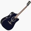 RD20SCBK Acoustic Electric Guitar Black Black