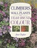 Climbers and wall plants for year round colour