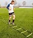 Sports : Koordinationsleiter Agility