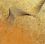 Dust and Sand