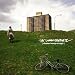 The Lonelyhearts-Disaster Footage at Night