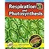 Respiration and Photosynthesis (Sci-Hi: Life Science)