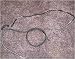 2000 Suzuki GSX 1300 R Hayabusa Hydraulic Clutch Line