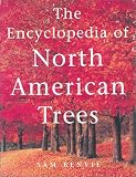 Encyclopedia of North American Trees Encyclopedia of North American River Birch Tree
