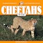 Cheetahs for Kids (Wildlife for Kids Series)