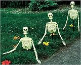 24 Skeleton Yard Stake Each