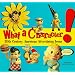 What a Character!: 20th Century American Advertising Icons