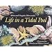Life in a Tidal Pool
