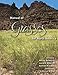 Manual of Grasses for North America