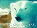 Great Crystal Bear