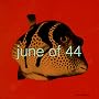 Fish 6