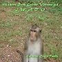 Modern Rock Guitar Volume 44 "Iwato" ~ Denis Taaffe