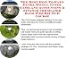 The Best How To Earn Extra Money, Inner Game and Accounting & Finance for Diaper Bags Web Biz 3 CD Course