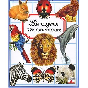 http://ecx.images-amazon.com/images/I/61DDEWY7EML._SL500_AA300_.jpg