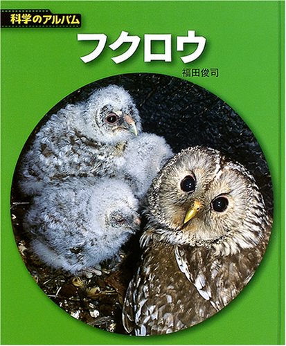 Cover image : フクロウ (科学のアルバム)
