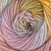 Lion Brand Amazing Yarn (207) Pink Sands By The Each