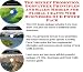 The Secret Promotion, Godfather Principles and Sales Models for Floral Crafts Web Businesses 3 CD Power Pack