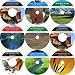 The In-Depth 9 CD No Money Down, Millionaire Making Real Estate Compilation