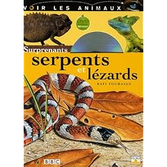 Surprenants serpents et l�zards (1DVD)