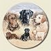 Lazy Susan ~ Labrador Retrievers ~ decorative tempered glass ~ 16 inch diameter ~ code 056