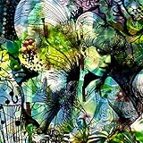 輸入壁紙/Aphrodeite's Garden/サイズ：184×254cm/4-915/Z3K