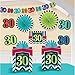 Amscan Must-Have Chevron and Stripes 30th Birthday Party Assorted Room Decorating Kit , Pack of 10, Multi , 10.5