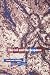 Book The Call and the Response (Perspectives in Continental Philosophy, 33)