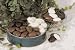 Chocolate Lover's Pecan Sampler-Large
