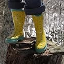 WELLIE, 5 US