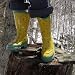 WELLIE, 5 US